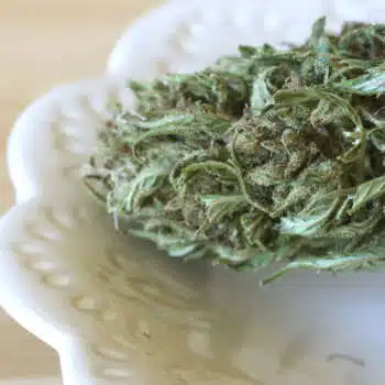 CBD bio